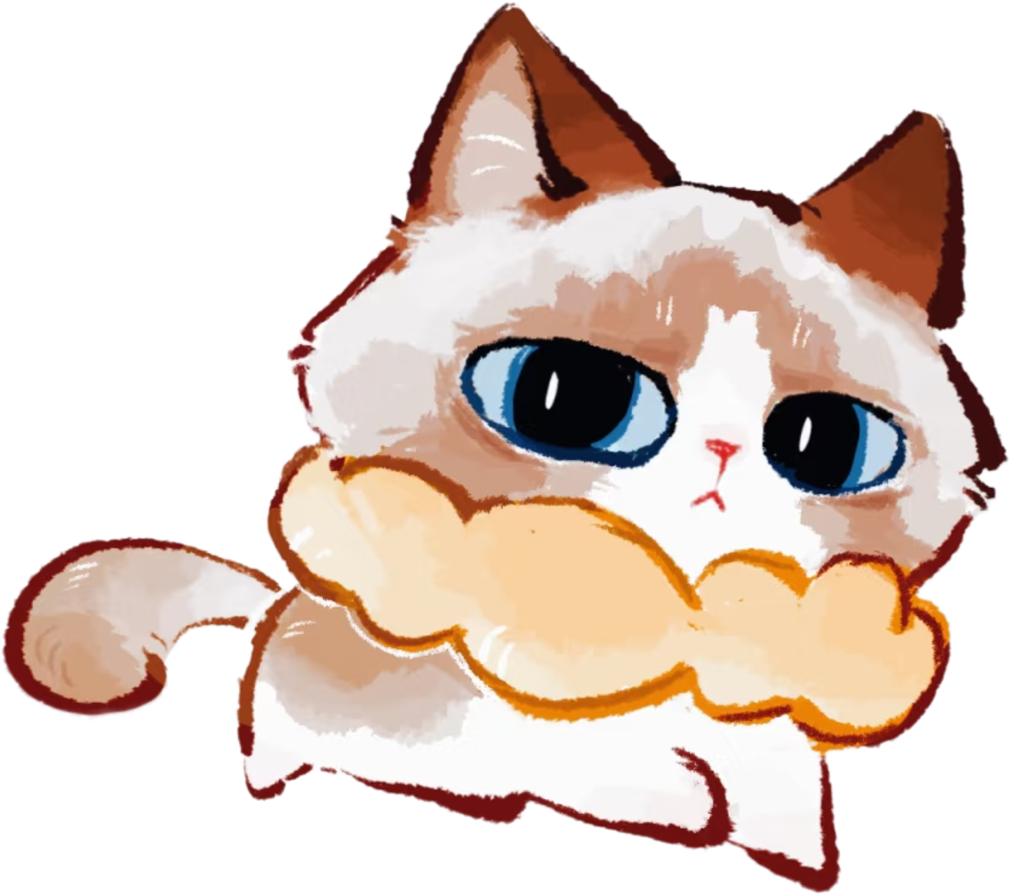 retouch_2025112203502632.png