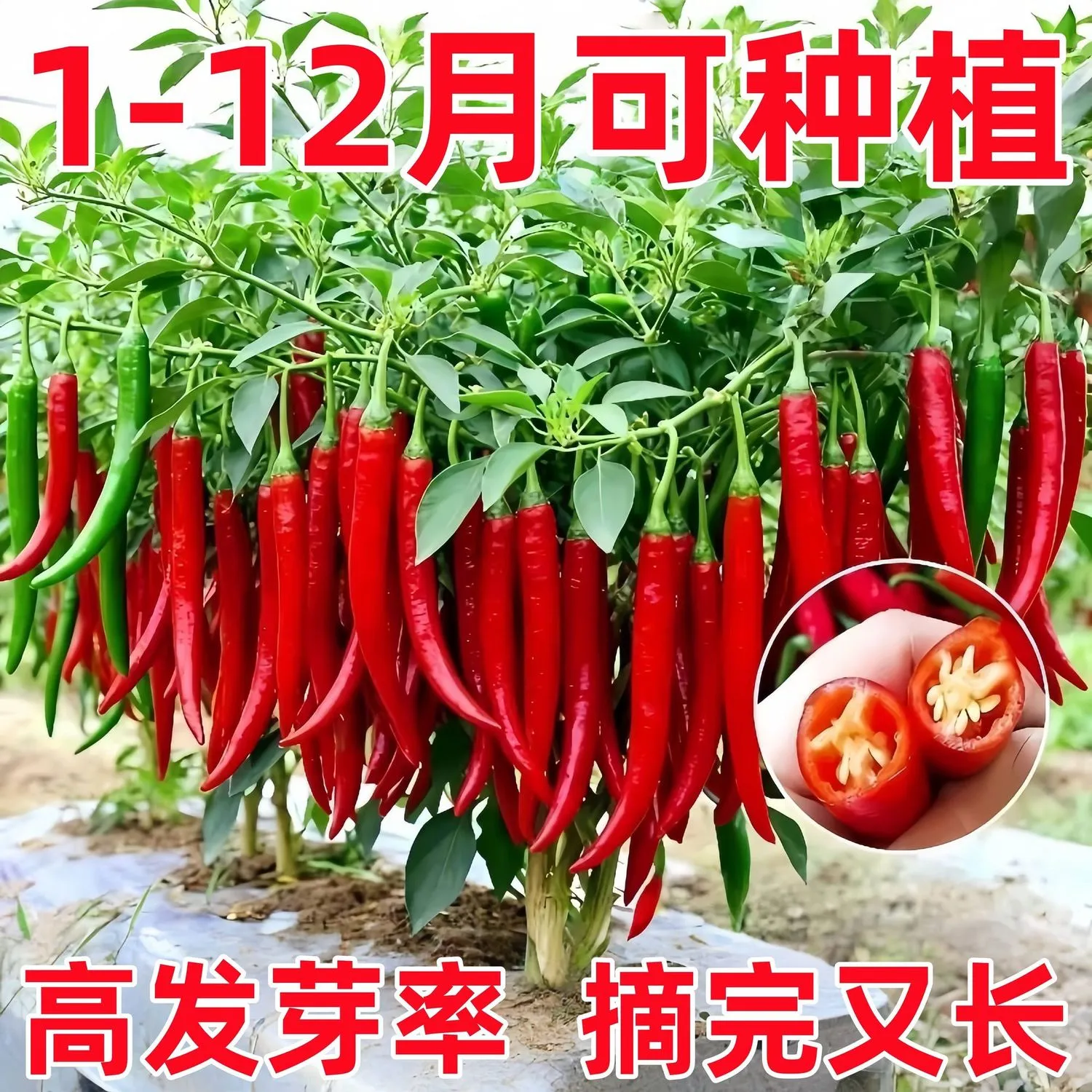 6fafe2ac4bd672d01d46feb32c546b78.jpg