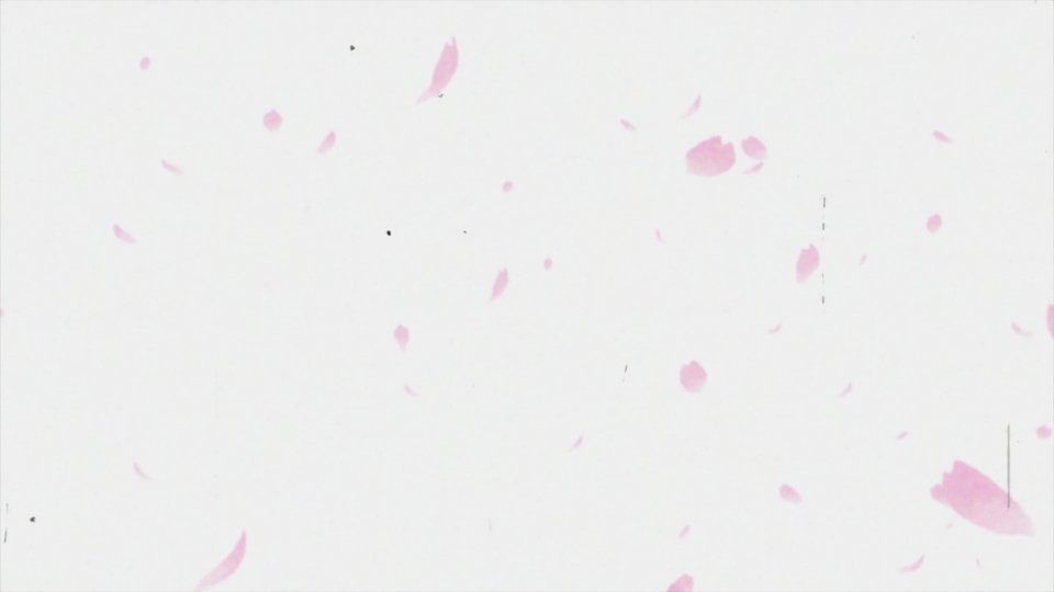 20180730135441_msccn.png
