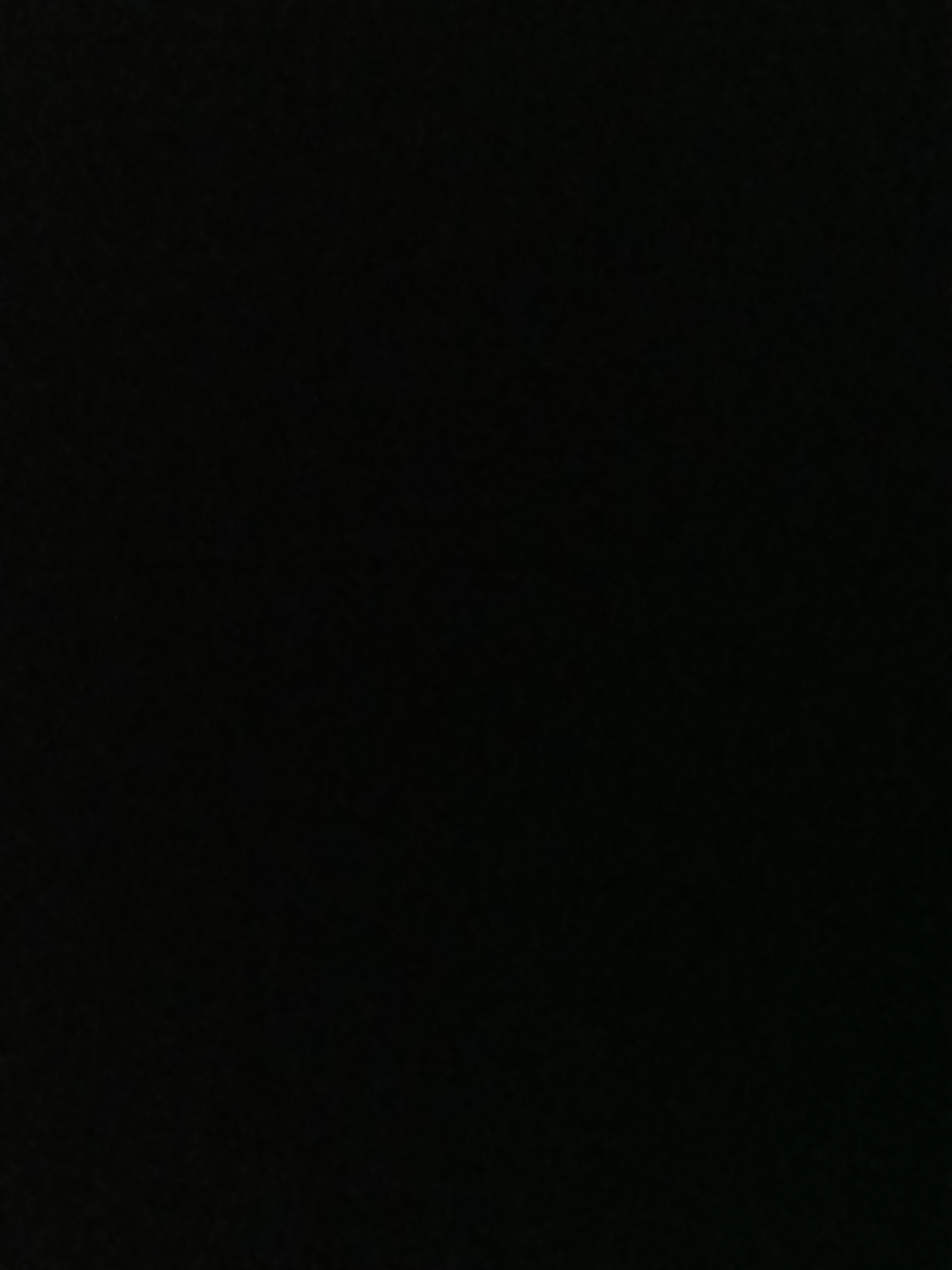 1767257539443.jpg